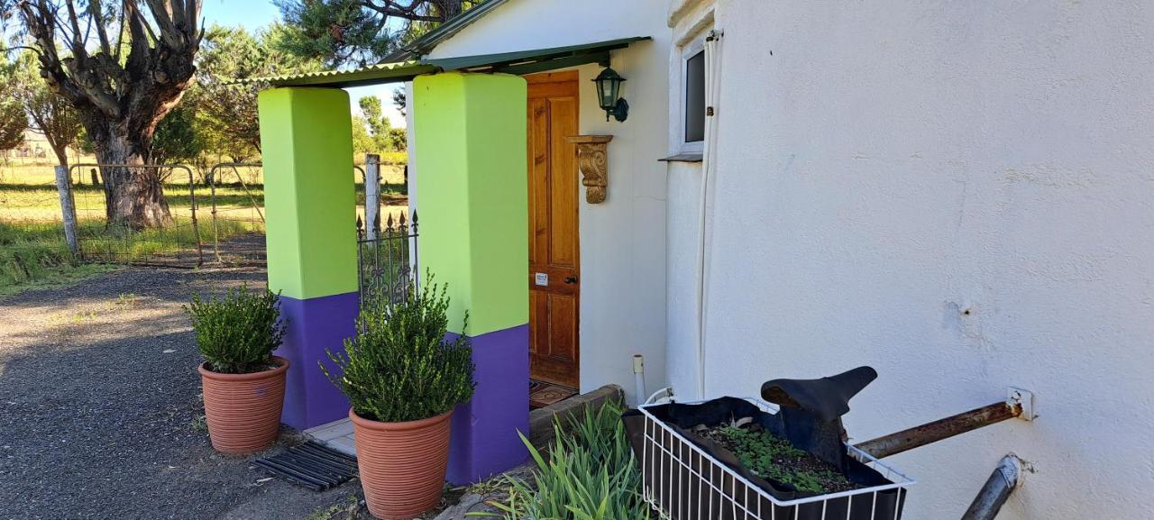 Purple House B&B Smithfield المظهر الخارجي الصورة