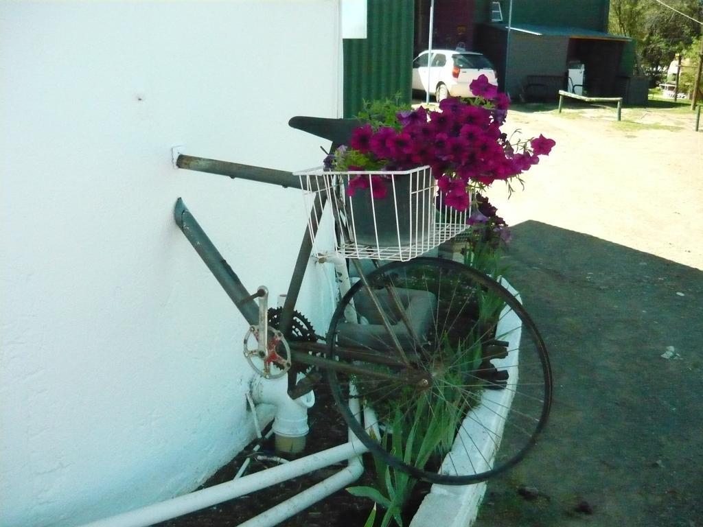 Purple House B&B Smithfield المظهر الخارجي الصورة
