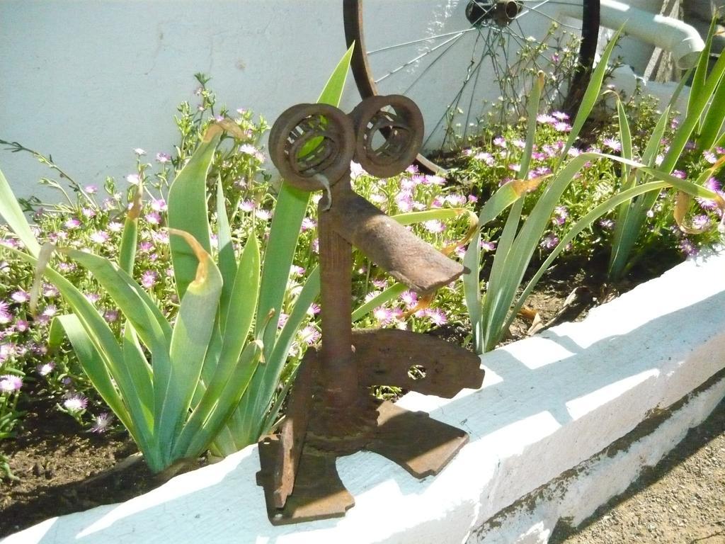 Purple House B&B Smithfield المظهر الخارجي الصورة